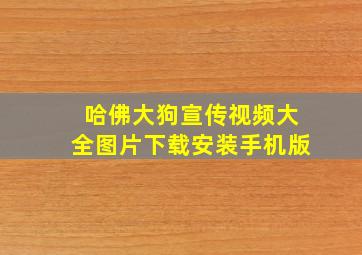 哈佛大狗宣传视频大全图片下载安装手机版