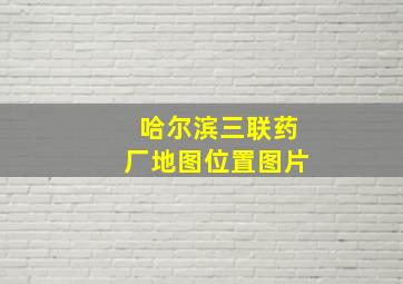 哈尔滨三联药厂地图位置图片