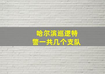 哈尔滨巡逻特警一共几个支队