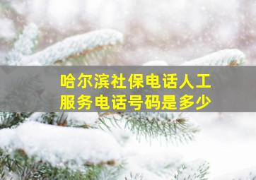 哈尔滨社保电话人工服务电话号码是多少