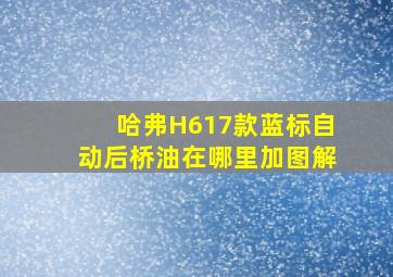 哈弗H617款蓝标自动后桥油在哪里加图解