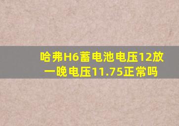 哈弗H6蓄电池电压12放一晚电压11.75正常吗