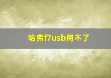 哈弗f7usb用不了