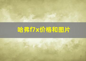 哈弗f7x价格和图片