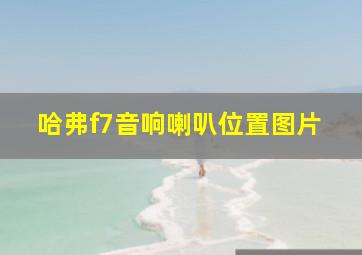 哈弗f7音响喇叭位置图片