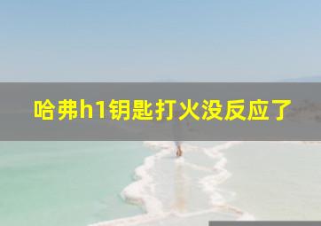 哈弗h1钥匙打火没反应了