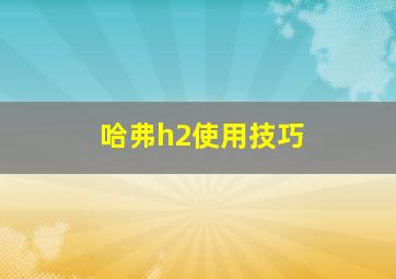 哈弗h2使用技巧