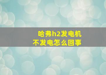 哈弗h2发电机不发电怎么回事