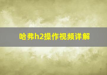 哈弗h2操作视频详解