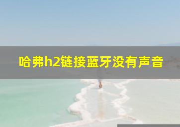 哈弗h2链接蓝牙没有声音