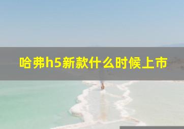 哈弗h5新款什么时候上市