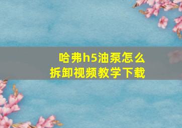 哈弗h5油泵怎么拆卸视频教学下载