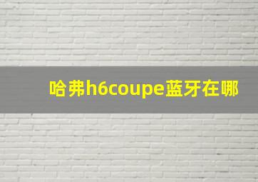 哈弗h6coupe蓝牙在哪