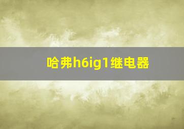 哈弗h6ig1继电器