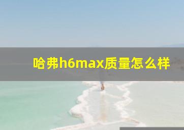 哈弗h6max质量怎么样