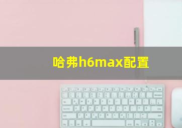 哈弗h6max配置