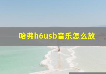 哈弗h6usb音乐怎么放