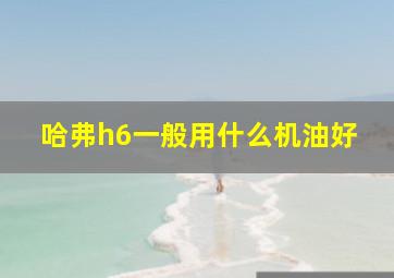 哈弗h6一般用什么机油好