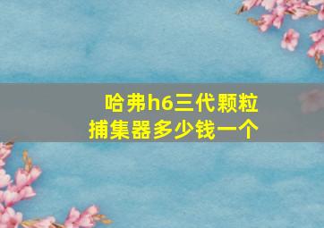 哈弗h6三代颗粒捕集器多少钱一个