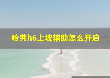 哈弗h6上坡辅助怎么开启