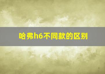 哈弗h6不同款的区别