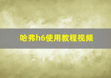 哈弗h6使用教程视频