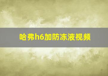 哈弗h6加防冻液视频