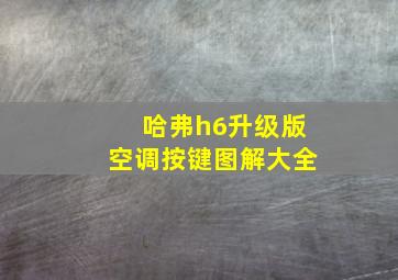 哈弗h6升级版空调按键图解大全