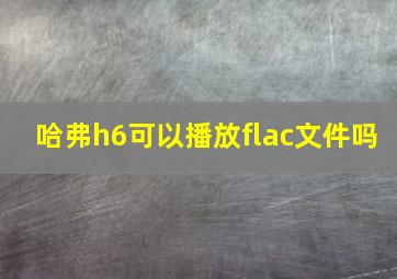 哈弗h6可以播放flac文件吗