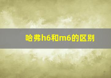 哈弗h6和m6的区别