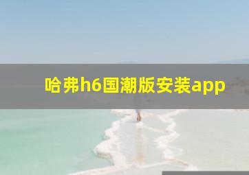 哈弗h6国潮版安装app