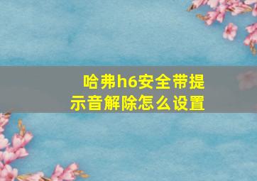 哈弗h6安全带提示音解除怎么设置