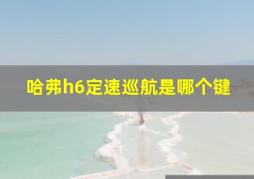 哈弗h6定速巡航是哪个键