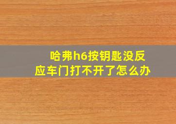 哈弗h6按钥匙没反应车门打不开了怎么办