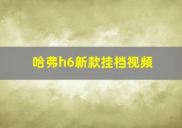 哈弗h6新款挂档视频