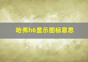 哈弗h6显示图标意思