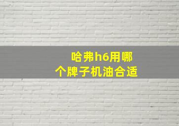 哈弗h6用哪个牌子机油合适