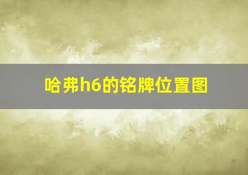 哈弗h6的铭牌位置图