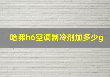 哈弗h6空调制冷剂加多少g