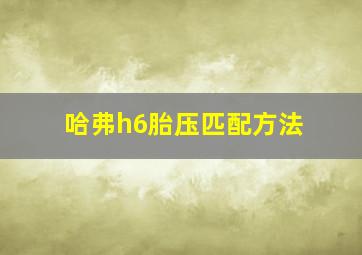 哈弗h6胎压匹配方法