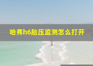 哈弗h6胎压监测怎么打开