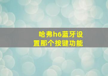 哈弗h6蓝牙设置那个按键功能