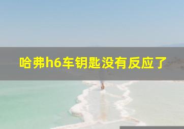 哈弗h6车钥匙没有反应了