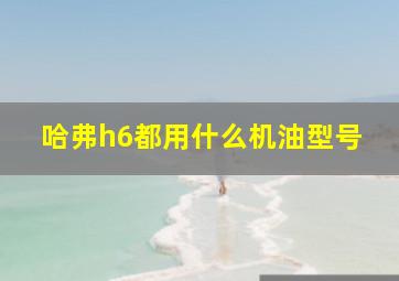 哈弗h6都用什么机油型号