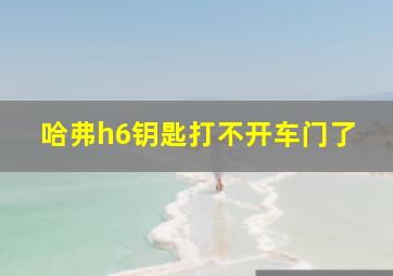 哈弗h6钥匙打不开车门了