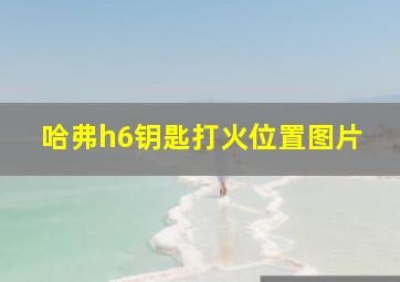 哈弗h6钥匙打火位置图片