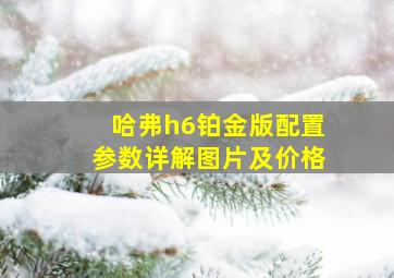 哈弗h6铂金版配置参数详解图片及价格