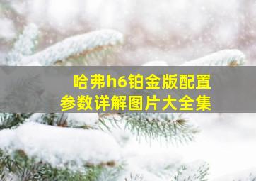 哈弗h6铂金版配置参数详解图片大全集