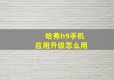 哈弗h9手机应用升级怎么用