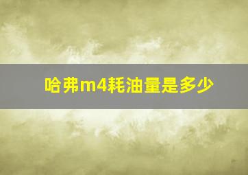 哈弗m4耗油量是多少